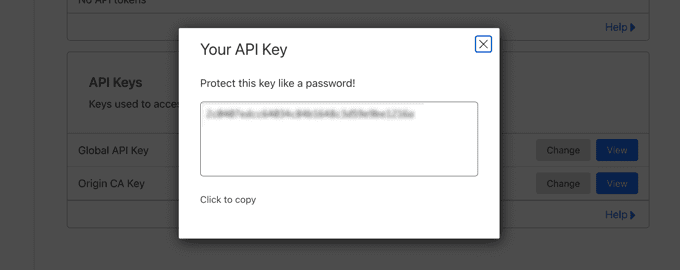 claudflare your API key 